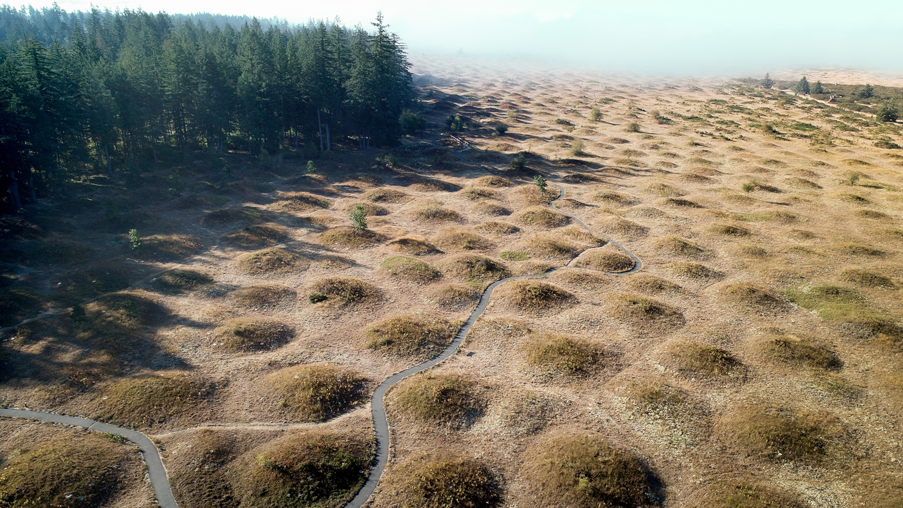 Mima mounds in Washington. National Geographic.